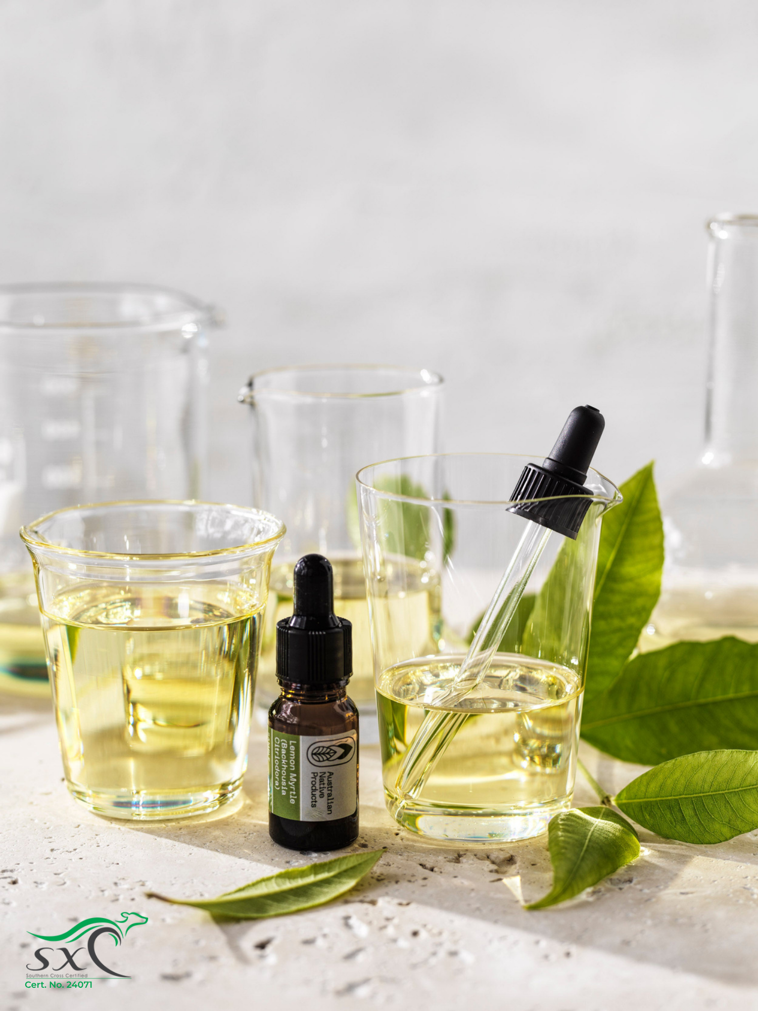 Organic Lemon Myrtle Essential Oil