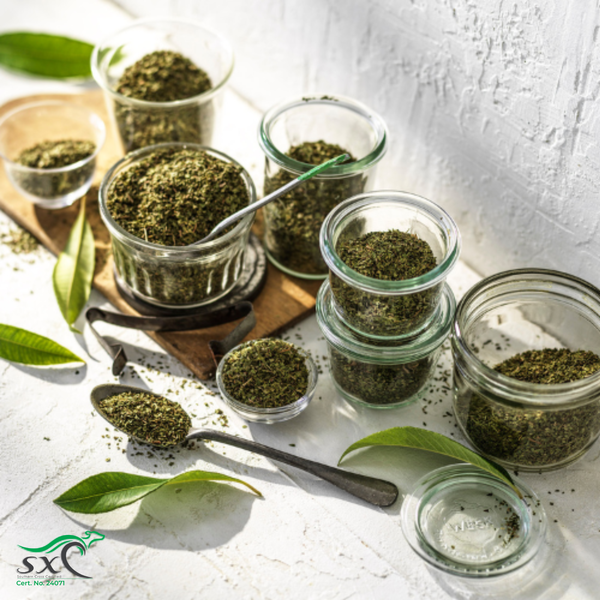 Medium Cut - Organic Lemon Myrtle Dried Leaf