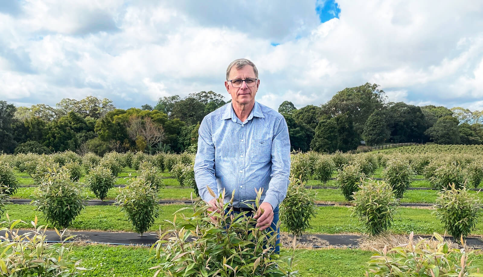 The Man Behind Lemon Myrtle's Success