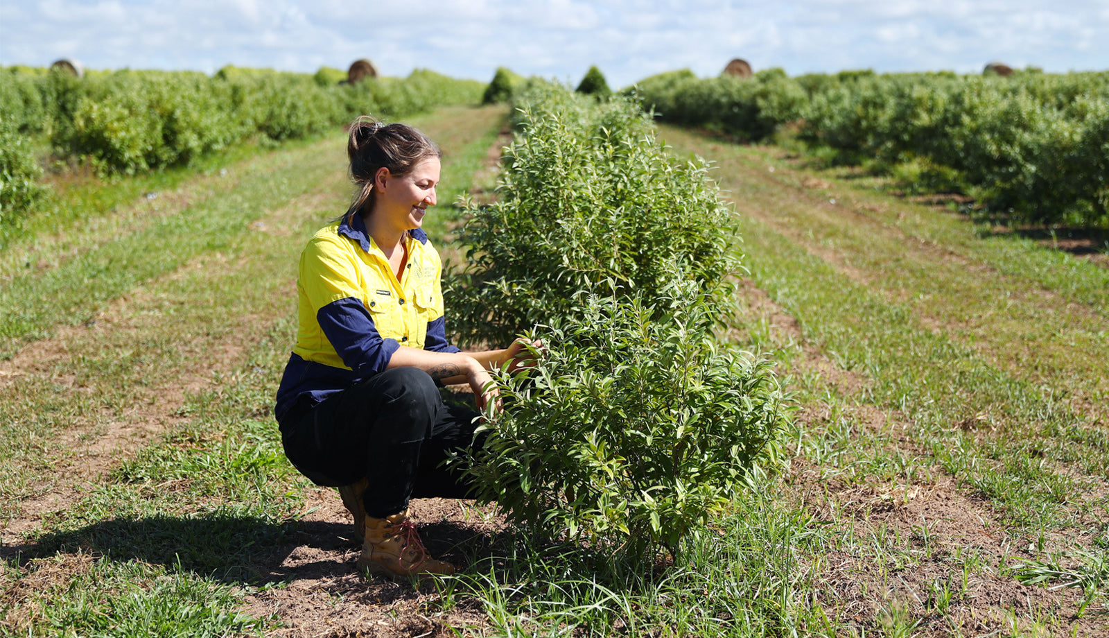 ANNOUNCEMENT: ANP Gains Organic Certification