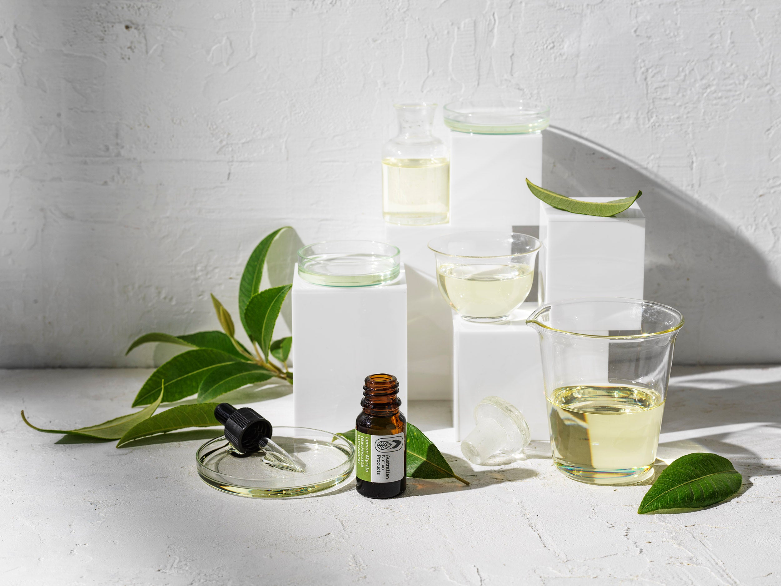 Lemon Myrtle Essential Oil: Benefits, Uses, and How to Incorporate It into Your Daily Life