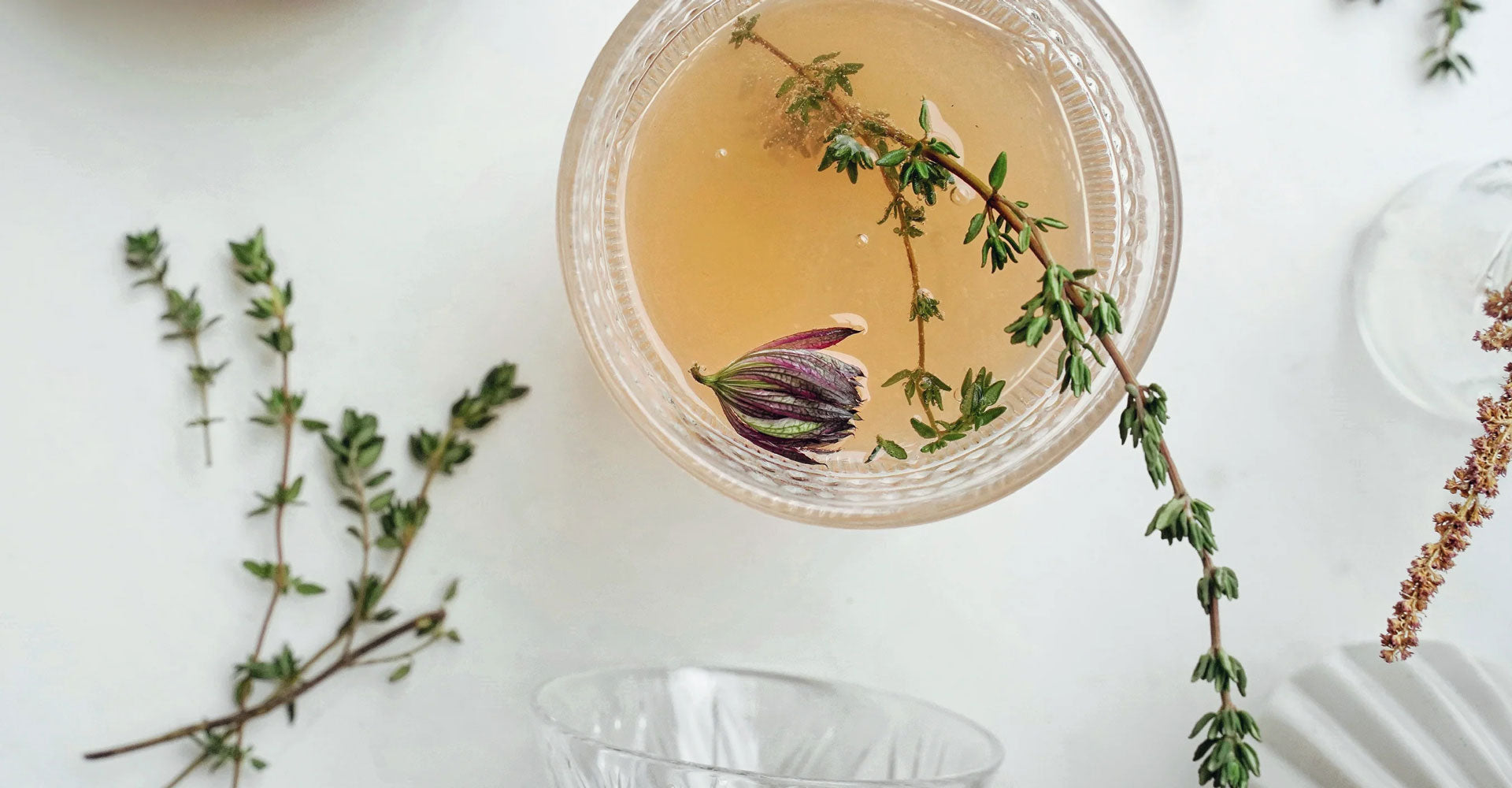 Exploring the Health Benefits of Organic Herbal Tea